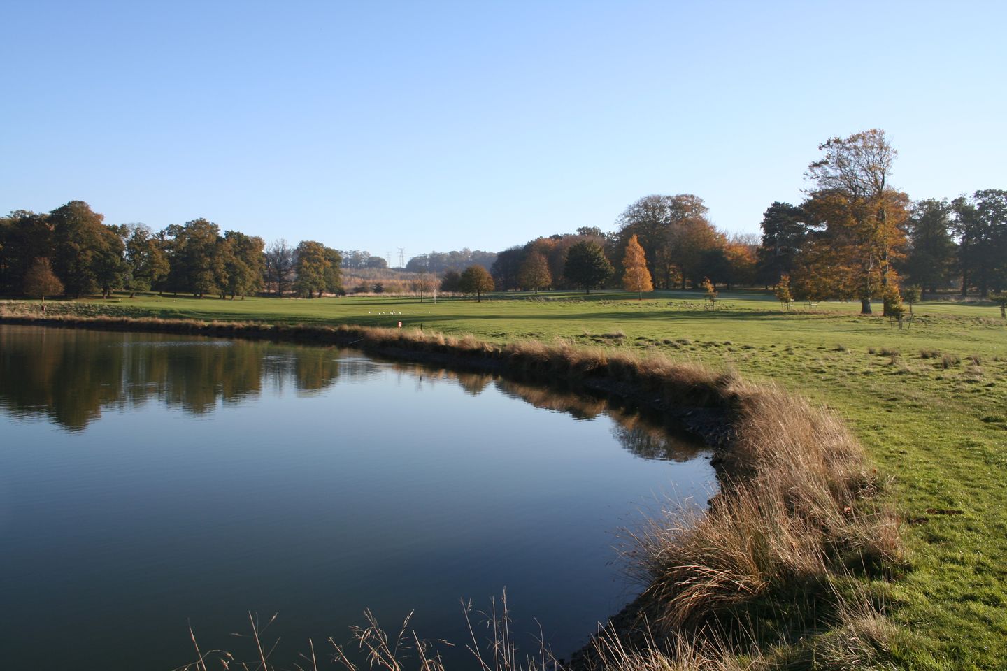 Brownlow Course