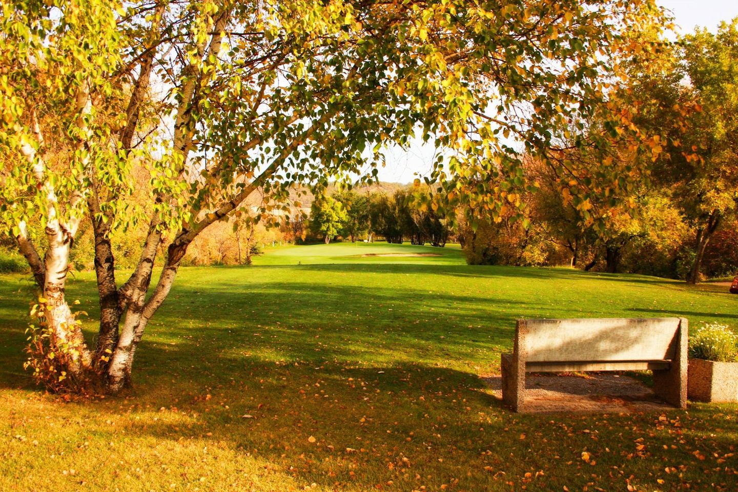 Minnedosa Golf & Country Club