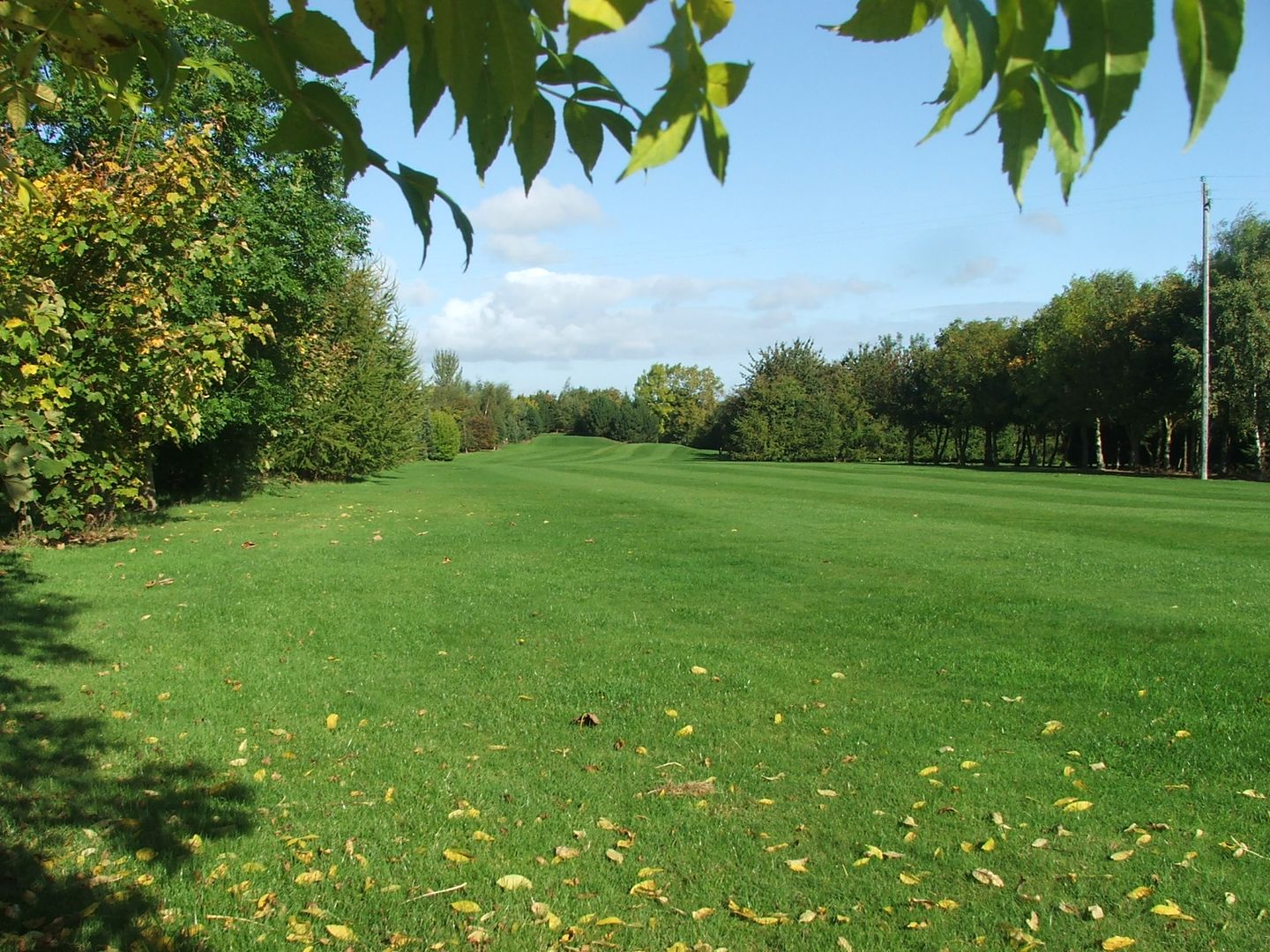 9-hole