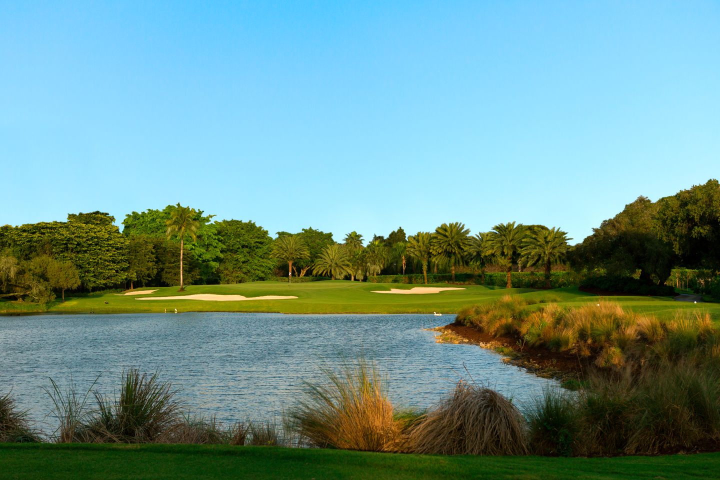Silver Fox Course