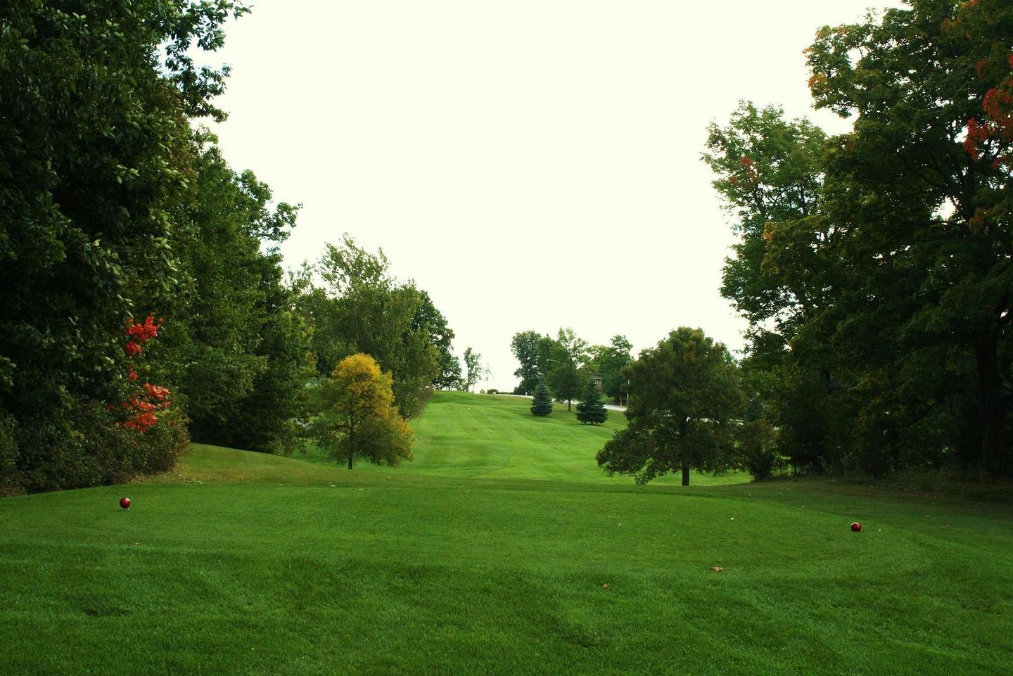 Napanee Golf and Country Club