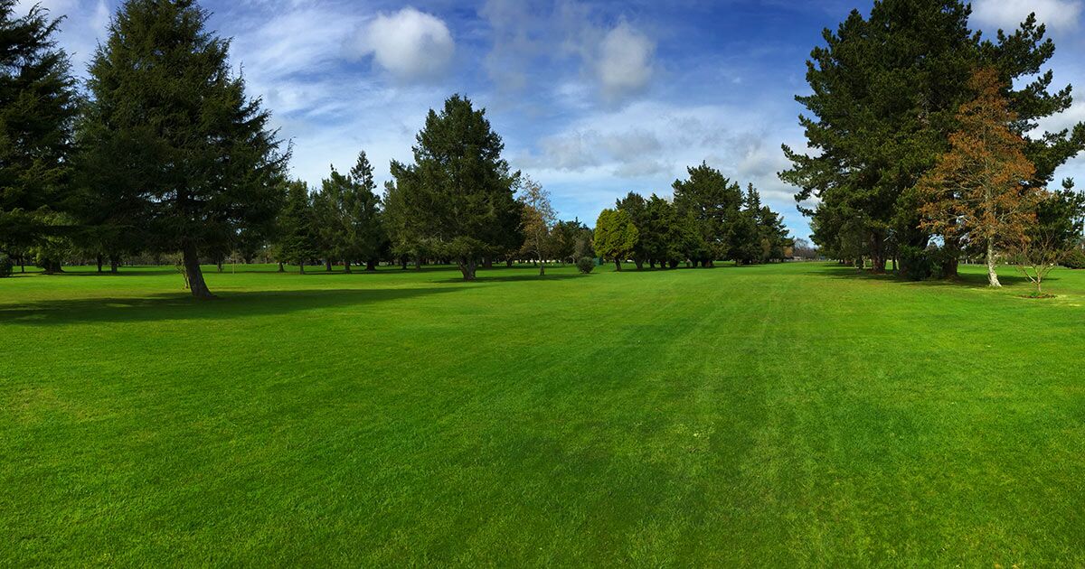 Te Kowhai Golf Club