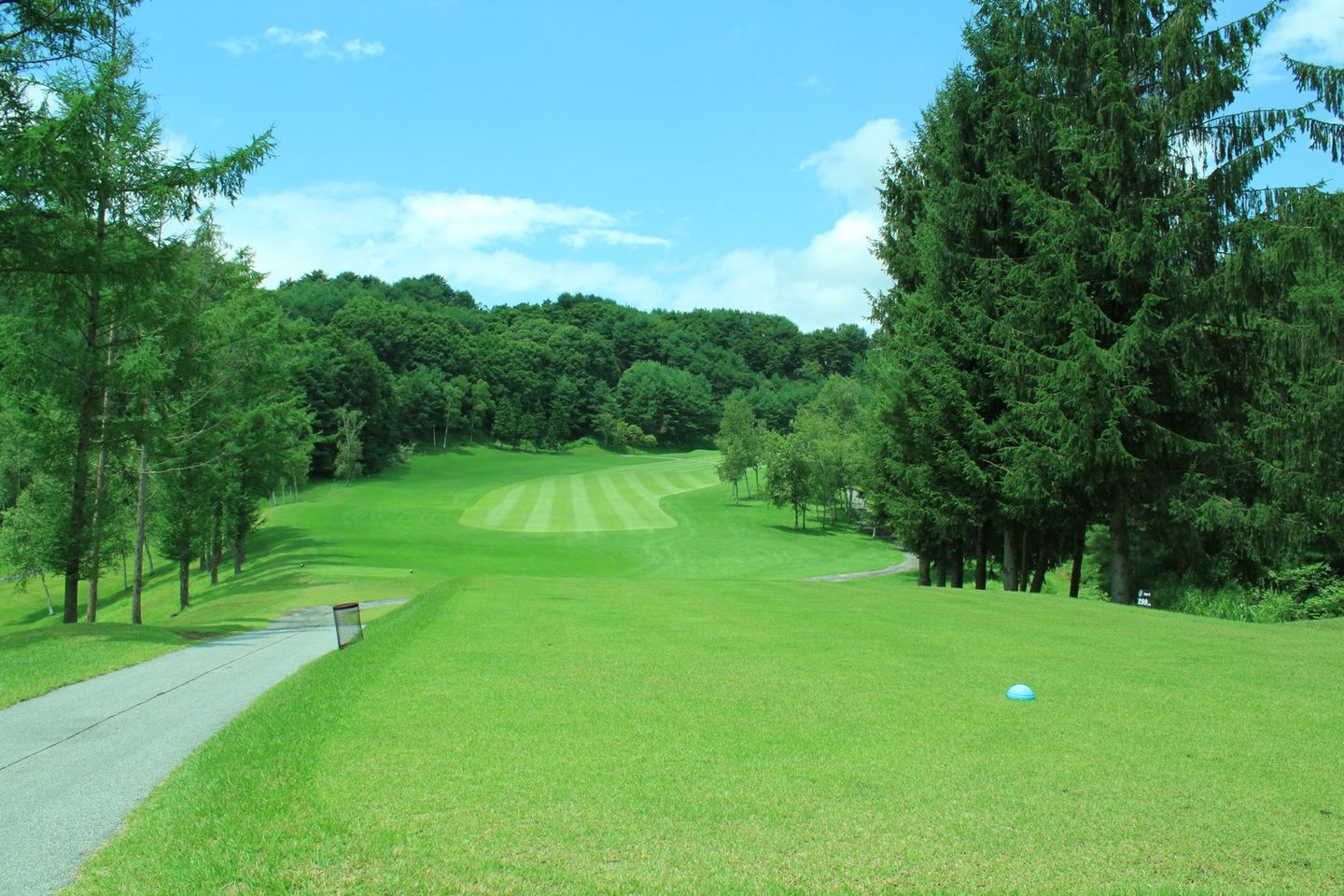 Country Club Green Valley