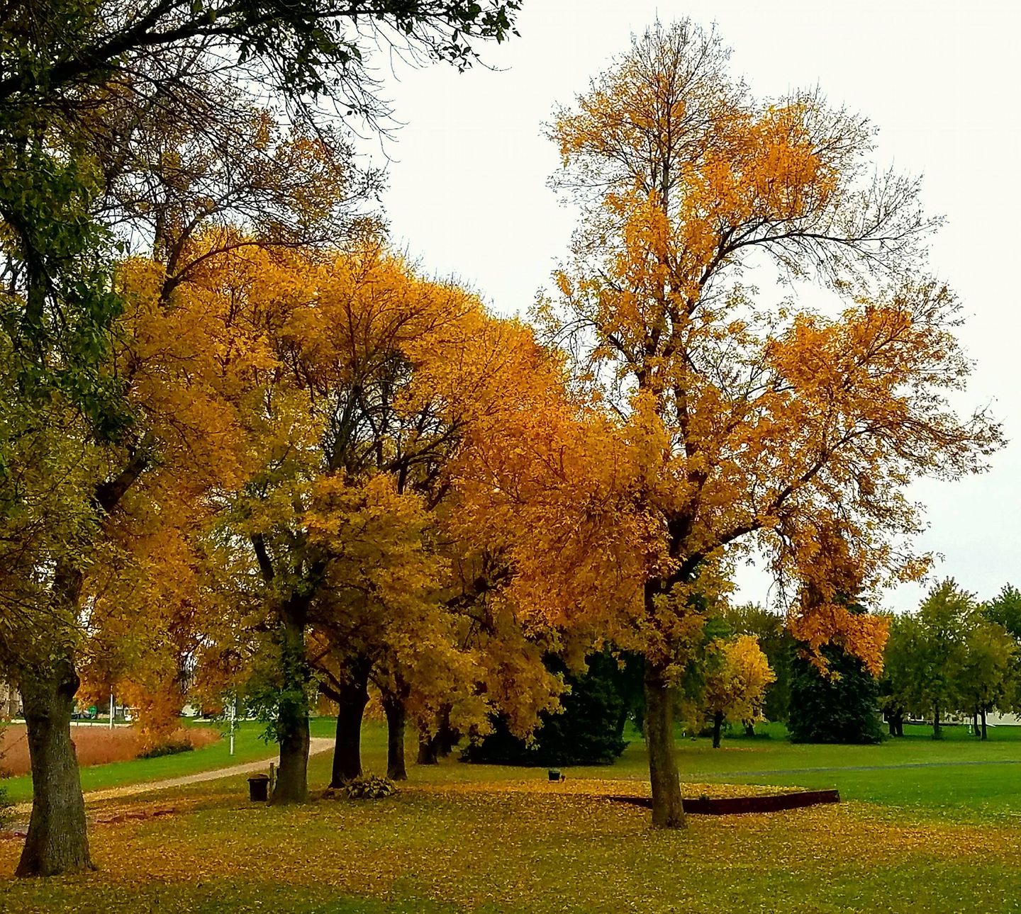 The Pointe Golf & Event Center