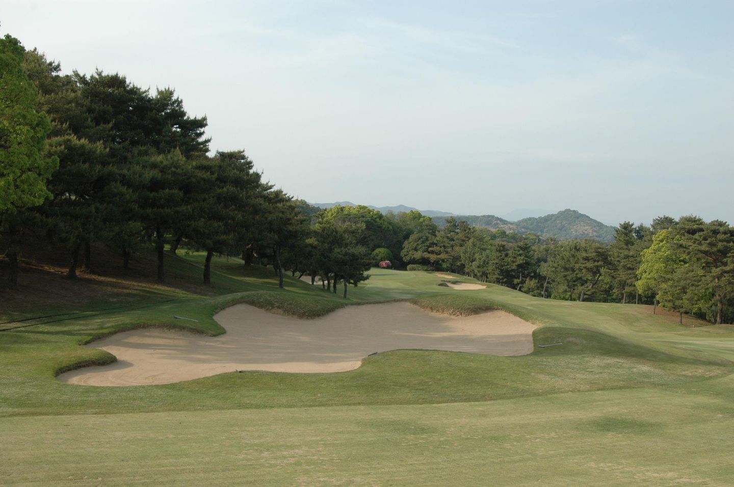 Saga Country Club