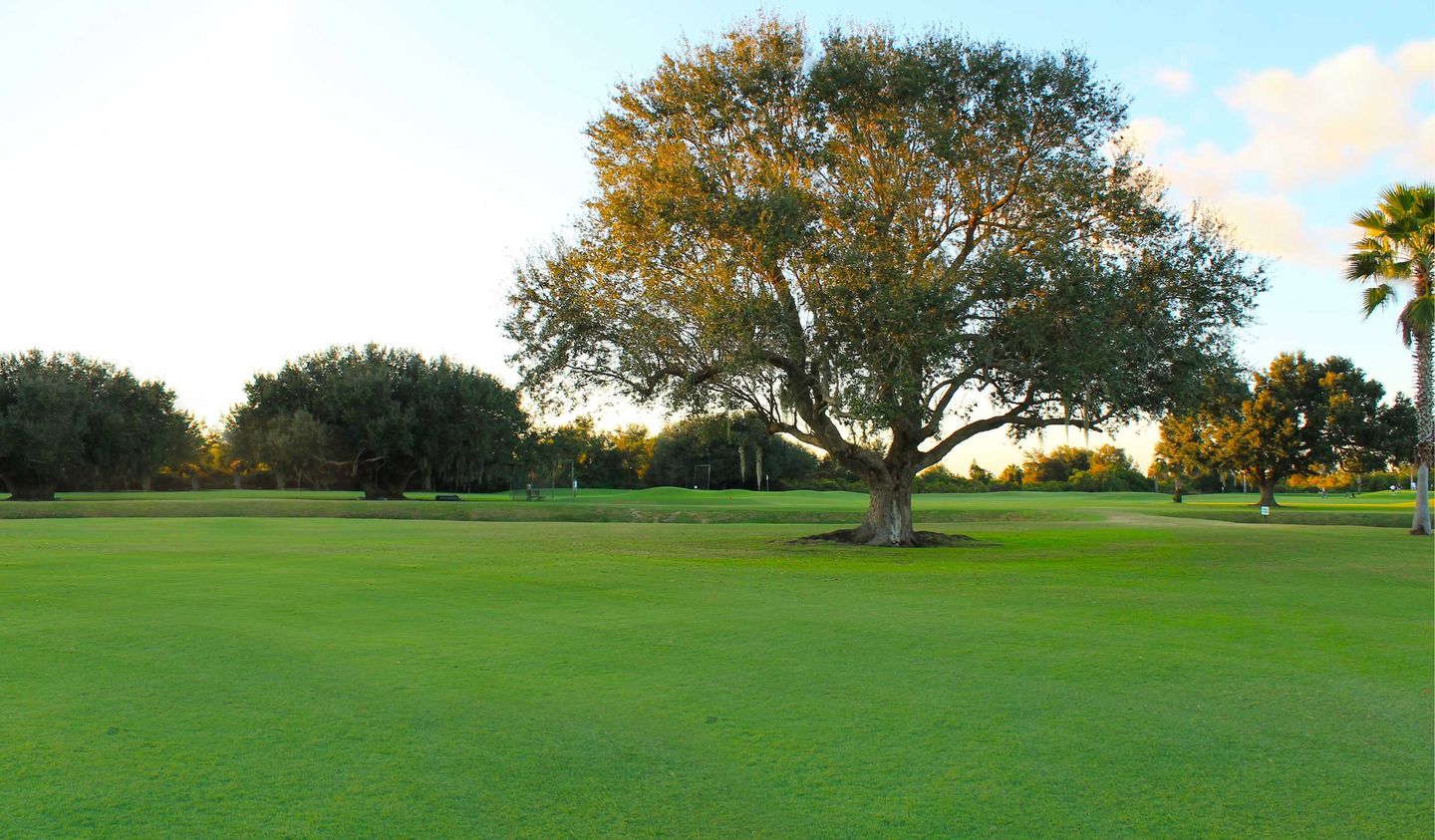 Live Oak RV Golf Course