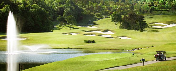 Cherry Course