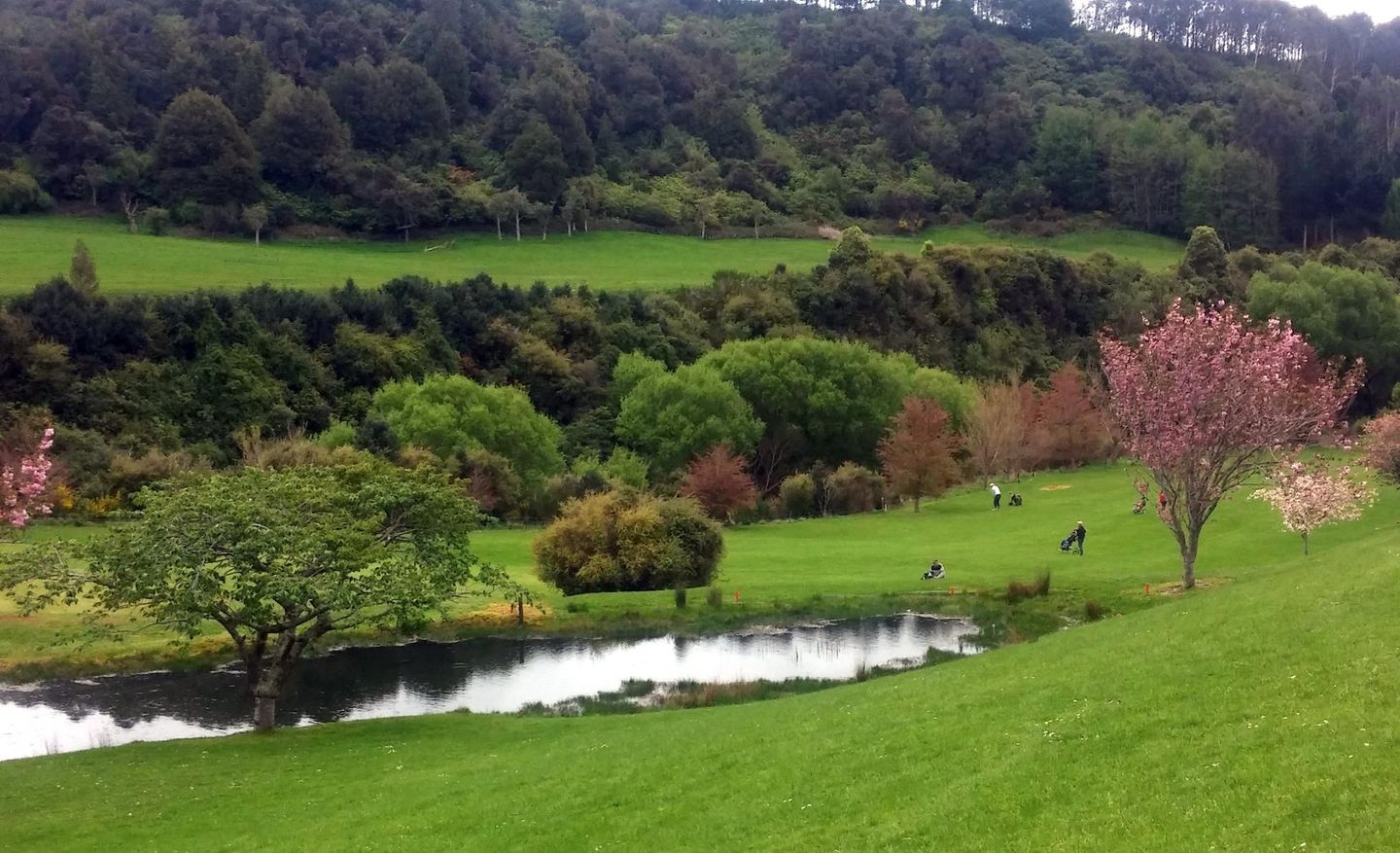 Eketahuna Golf Club