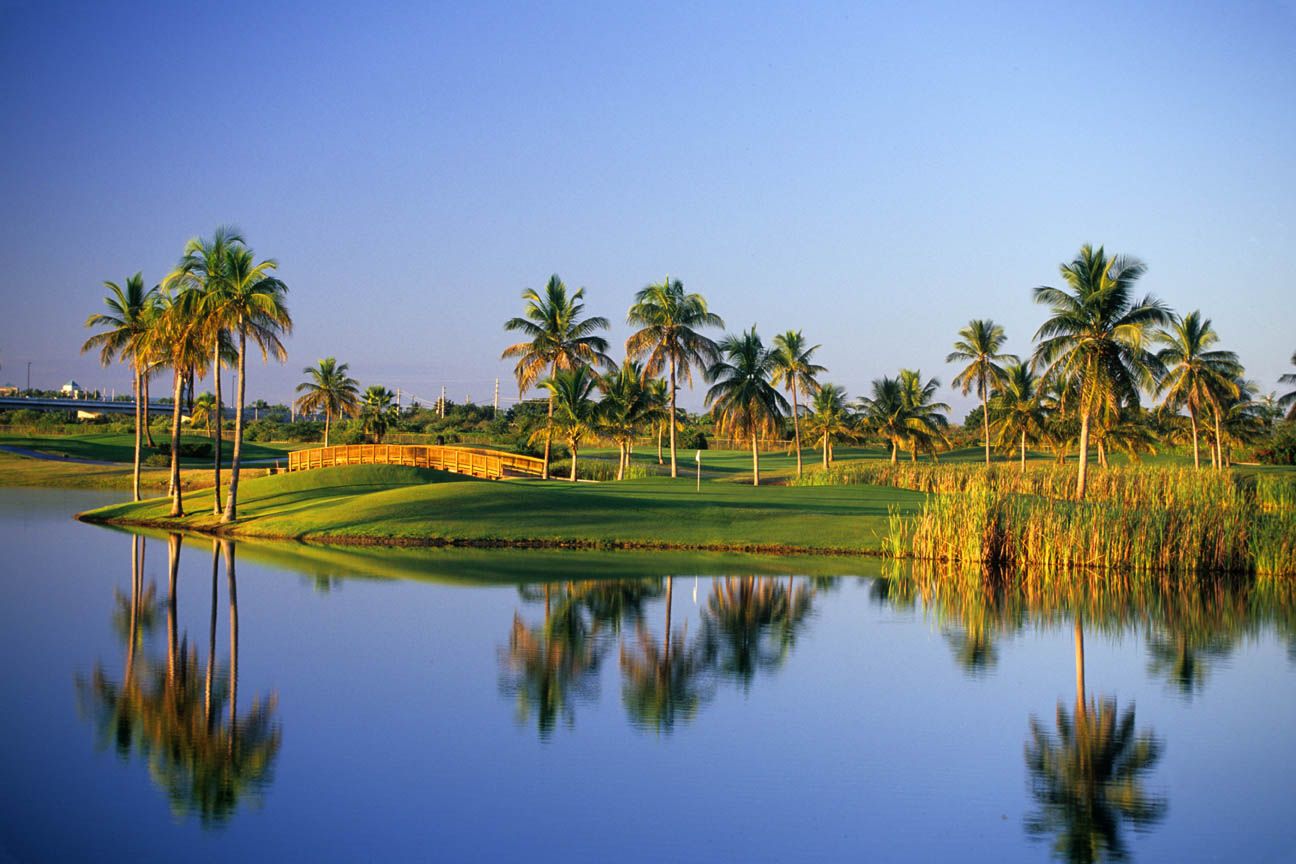 Back Nine