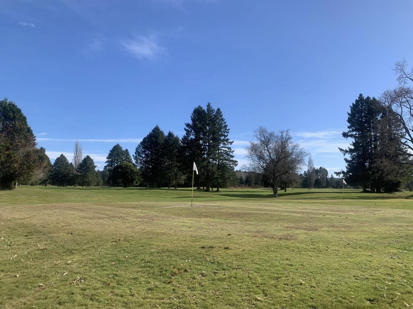 Murupara Golf Club Inc