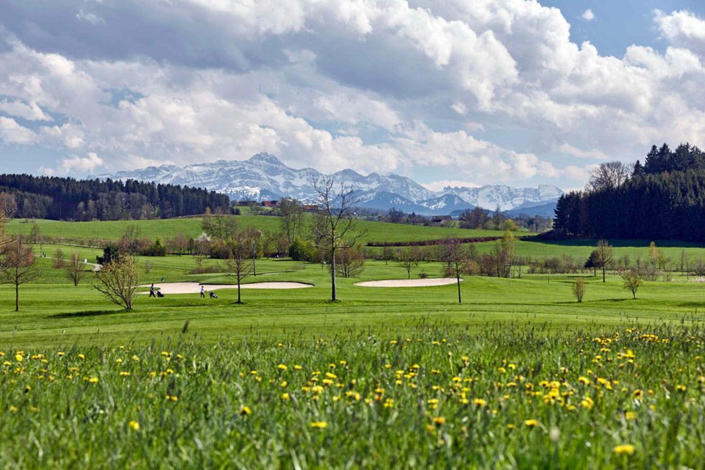 The Yellow Course