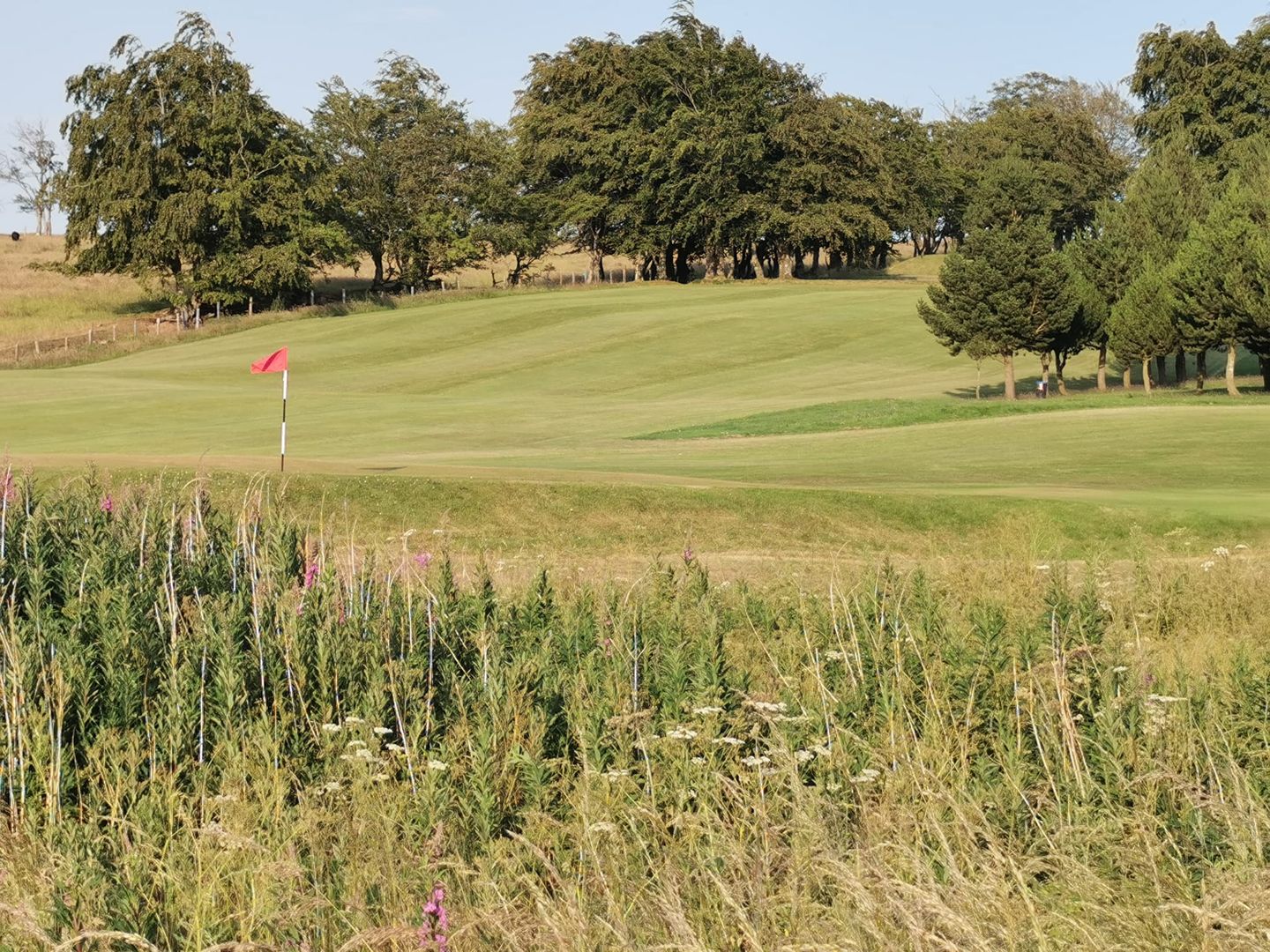 Douglas Water Golf Club