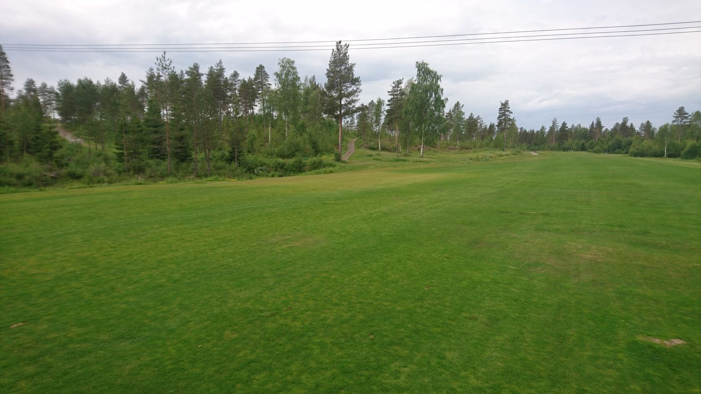 Bear Course