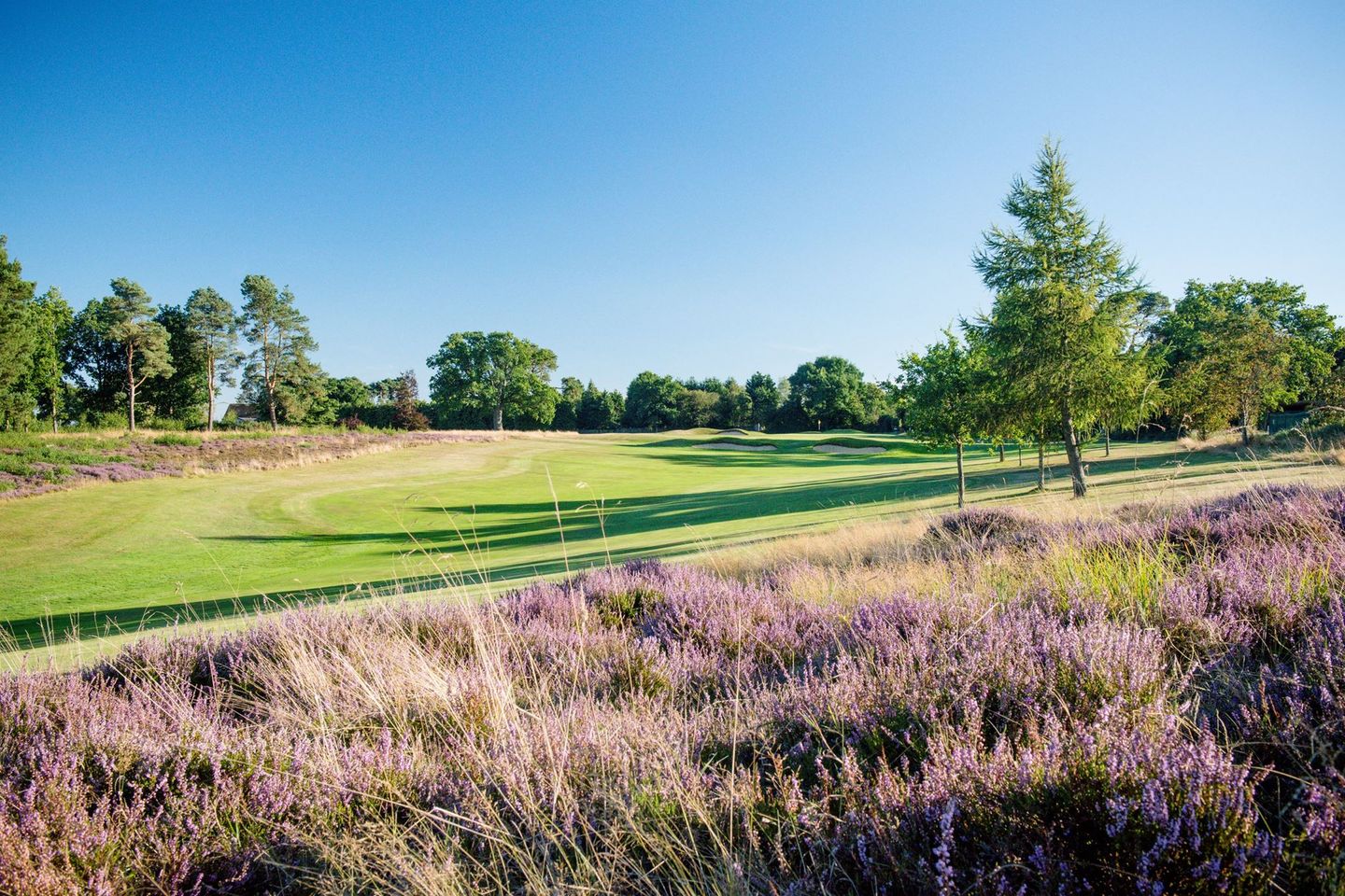 Newbury & Crookham Golf Club