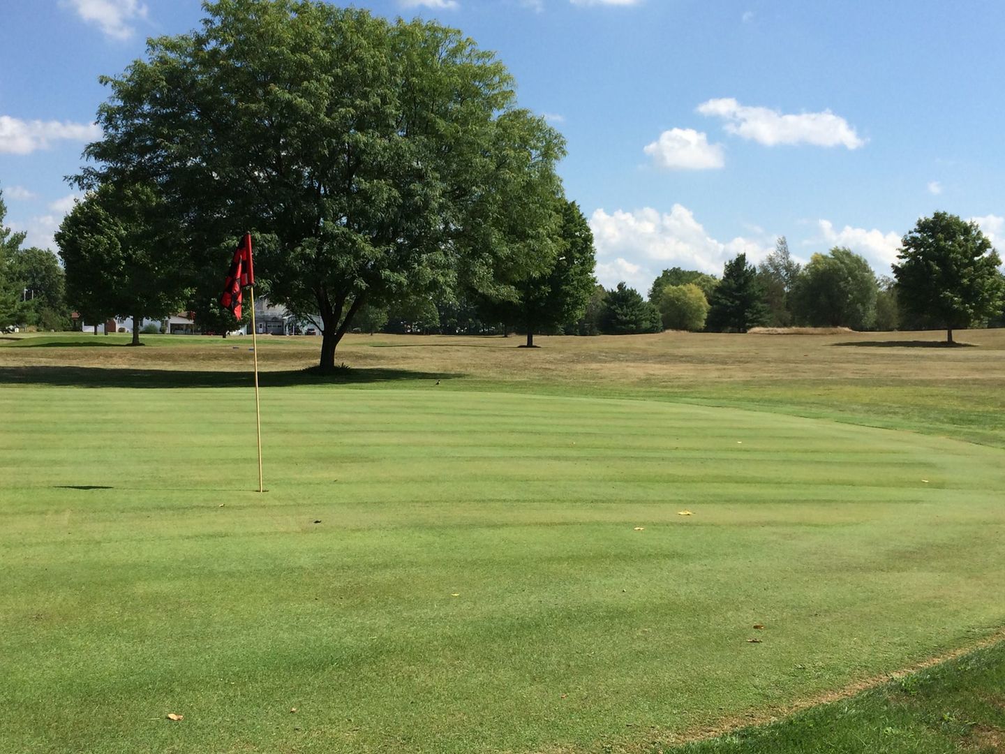 Limberlost Golf Club