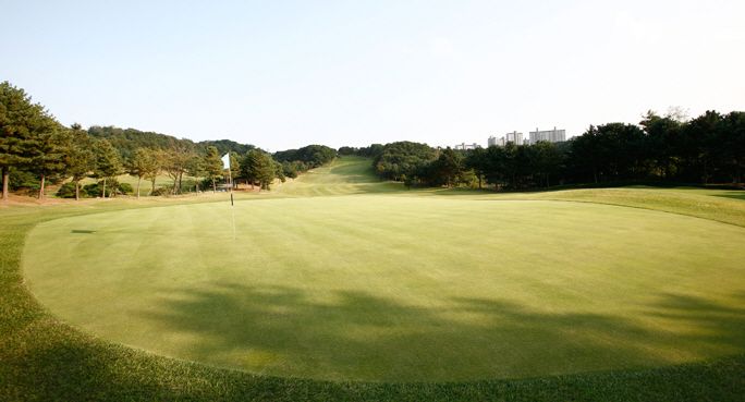 Blue Course