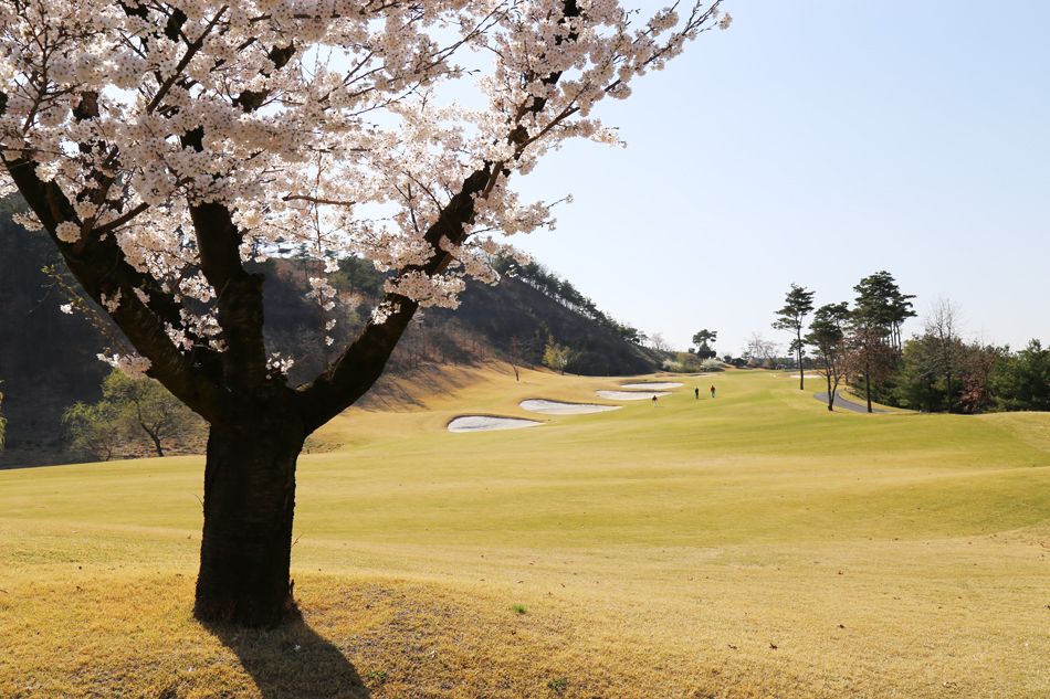 Blue One The Honors Country Club