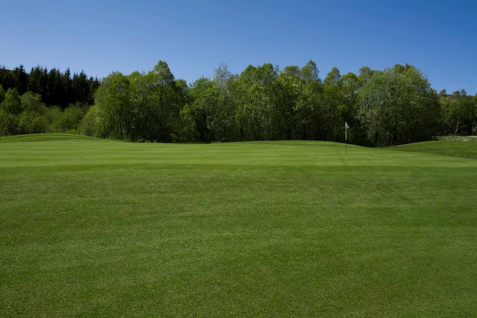 Sunnmore Golf Club