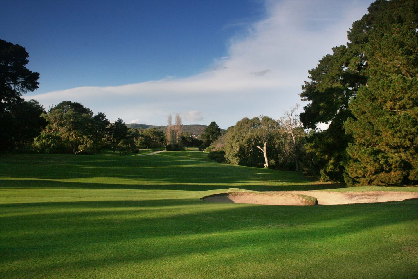 The South Course