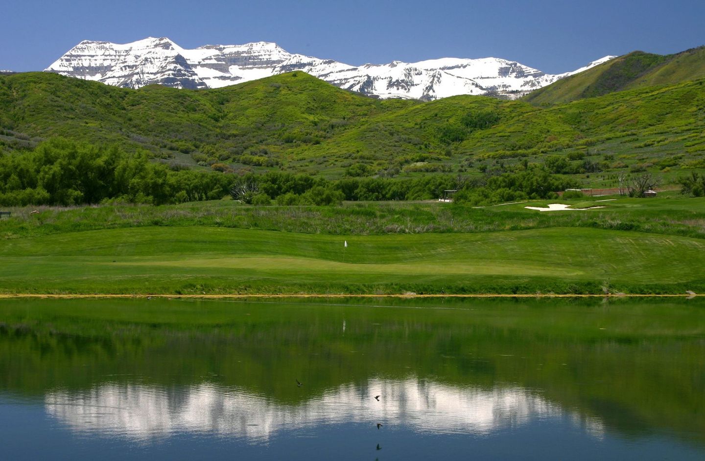 The Silver Course