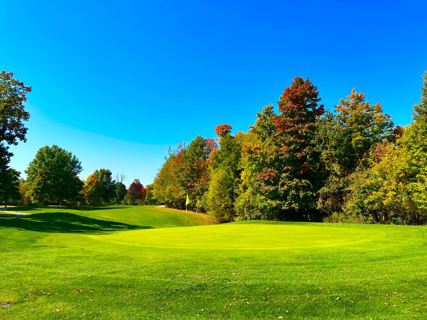 書 Katayanazu Golf Club 90 holes 90 Holes for $90 - Shanty Creek Resort : Shanty Creek Resort