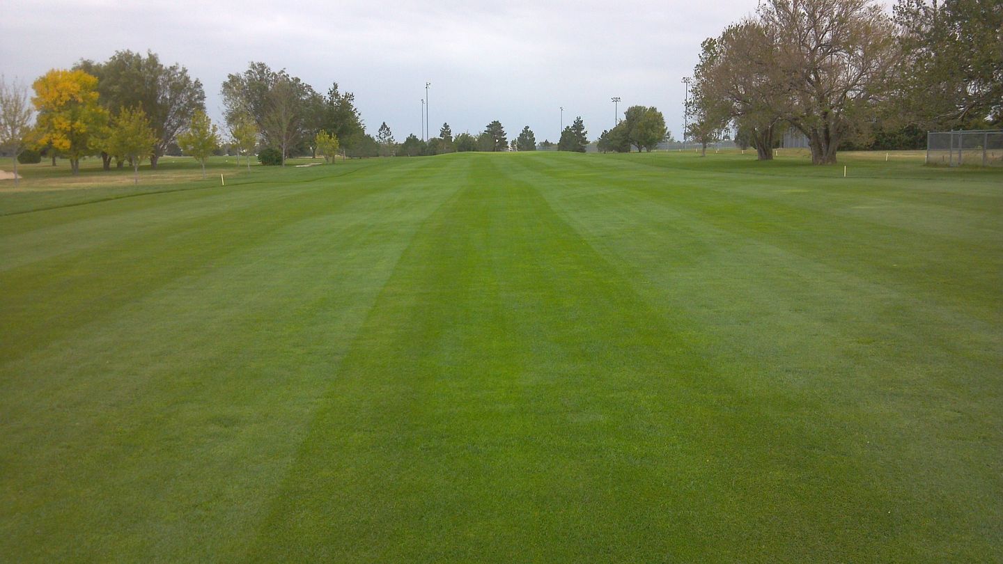 Hillsboro Municipal Golf