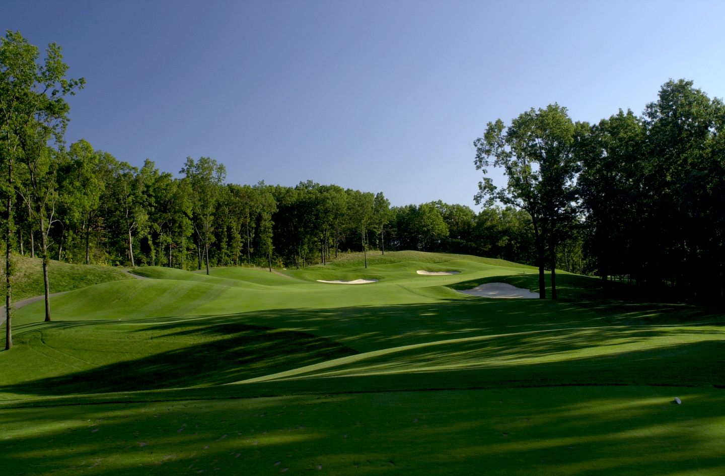 Shepherd's Hollow 1 Golf Course