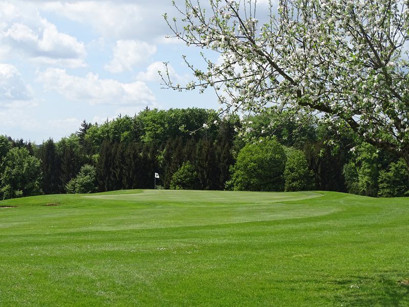 9-hole Course