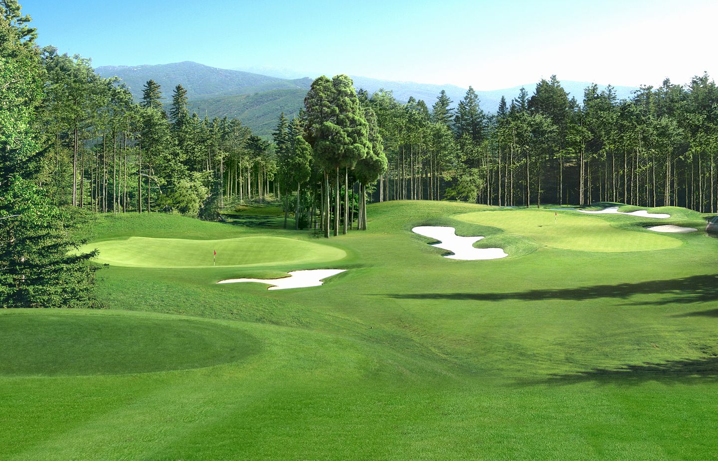 Bella Course