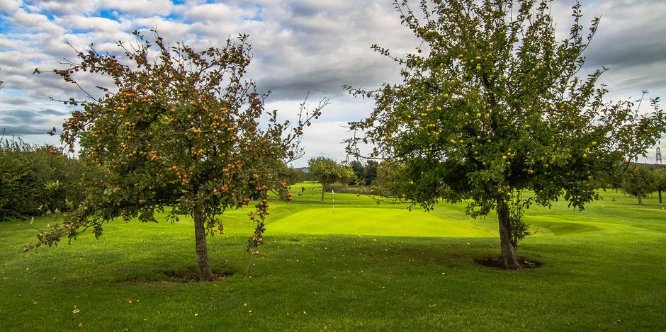Mendip Spring Golf Club