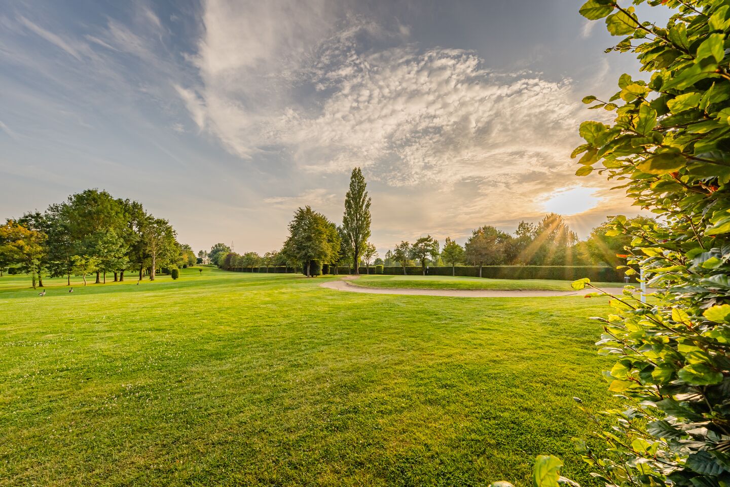 Royal Amicale Anderlecht Golf Club