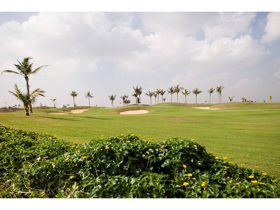 Edgewater Golf at Aavisa