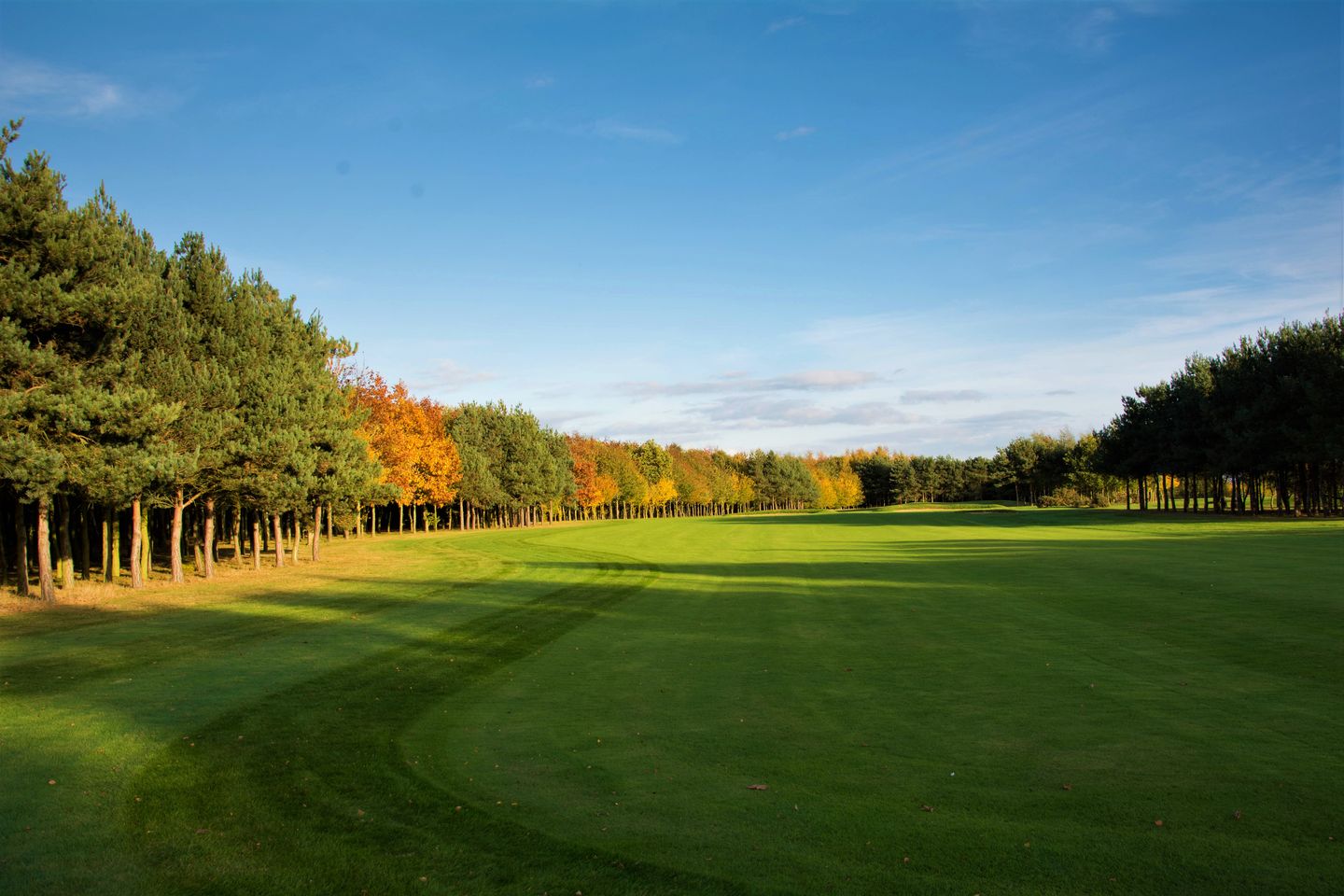 Newton Green Golf Club
