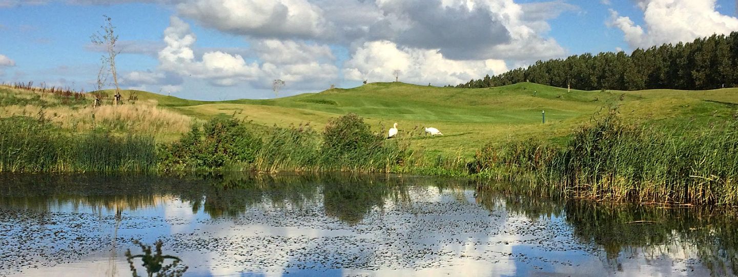 Dijklus Course