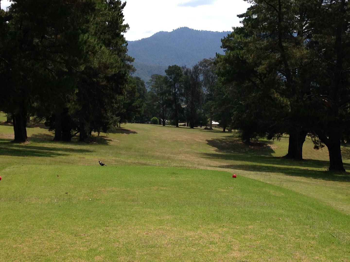 Mount Beauty Golf Club