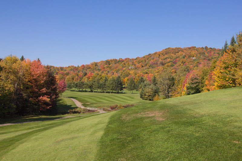 Club de Golf Stoneham