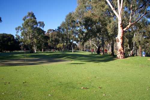 Par 3 Course