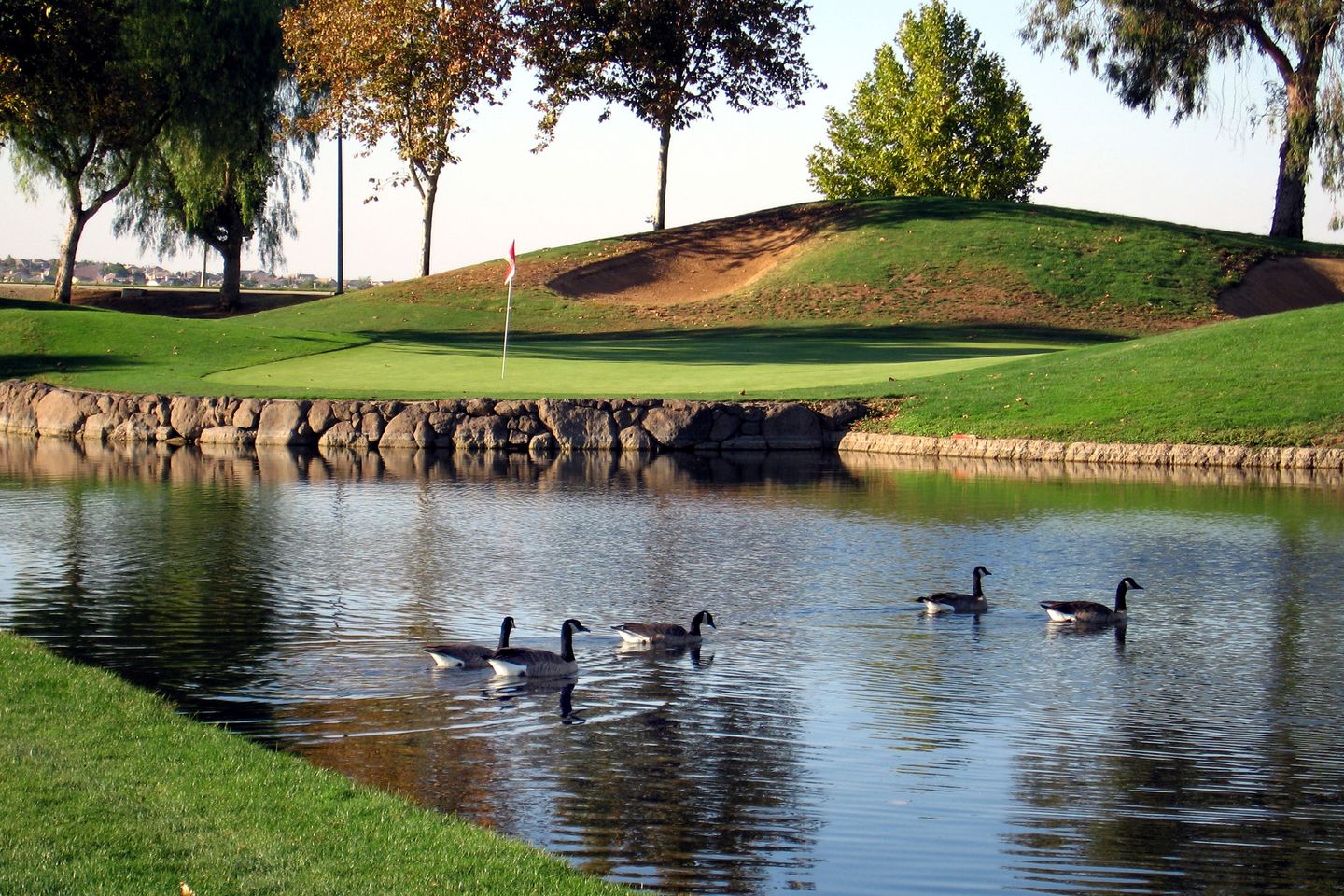 Brentwood Golf Club Creekside/Diablo Course in Brentwood, California