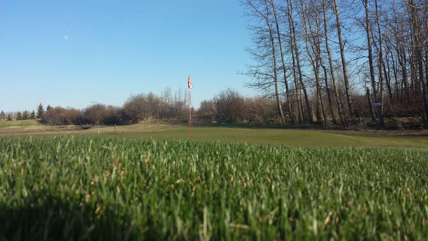 Dark Horse Golf Course