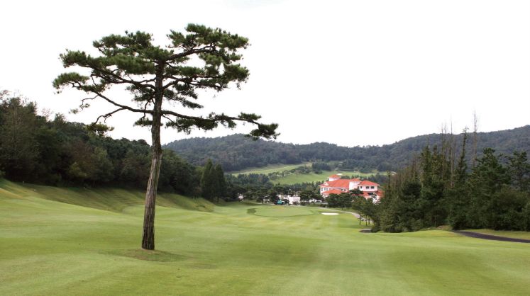 Victoria Park Course