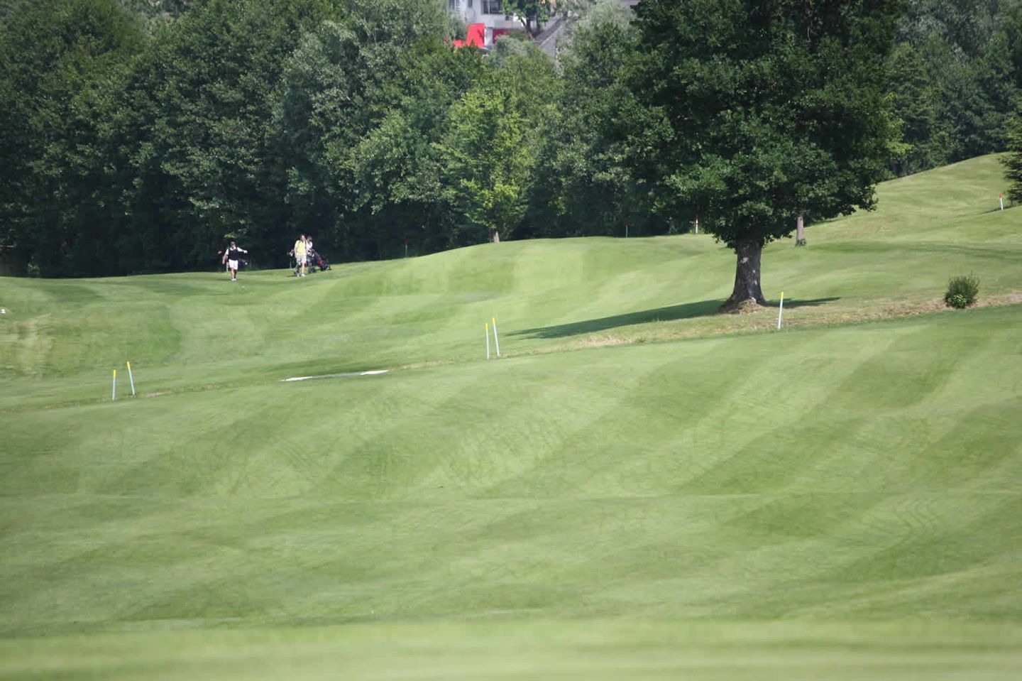 Robinson Golf Club