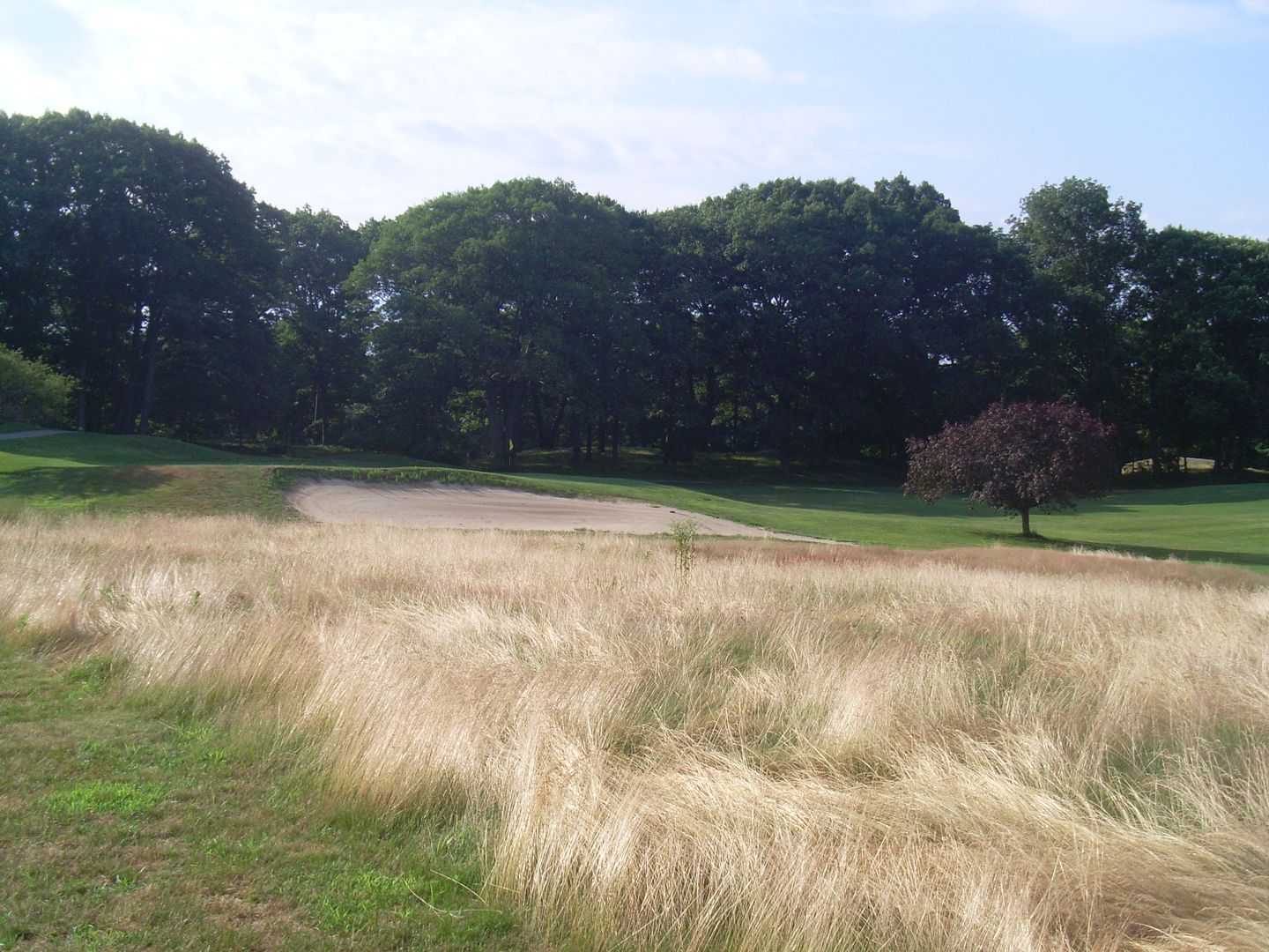 Unicorn Golf Course