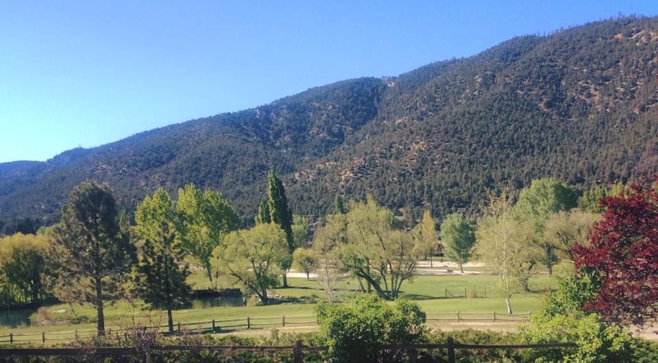 Pine Mountain Golf Club