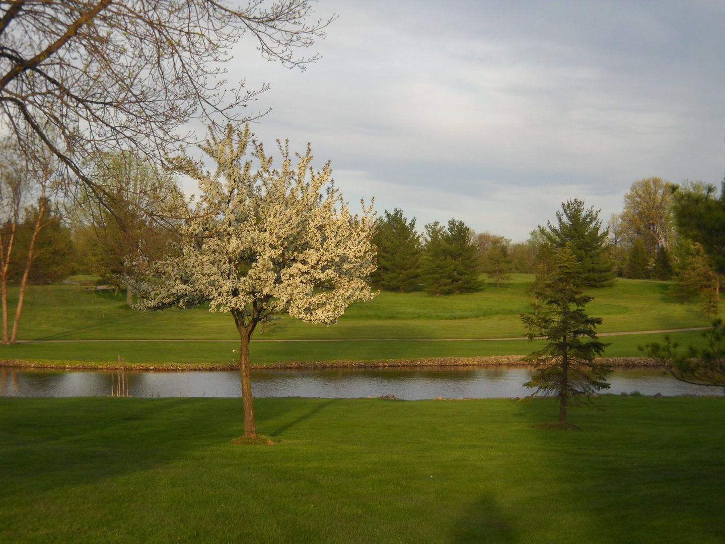 Raccoon Hill Golf Club