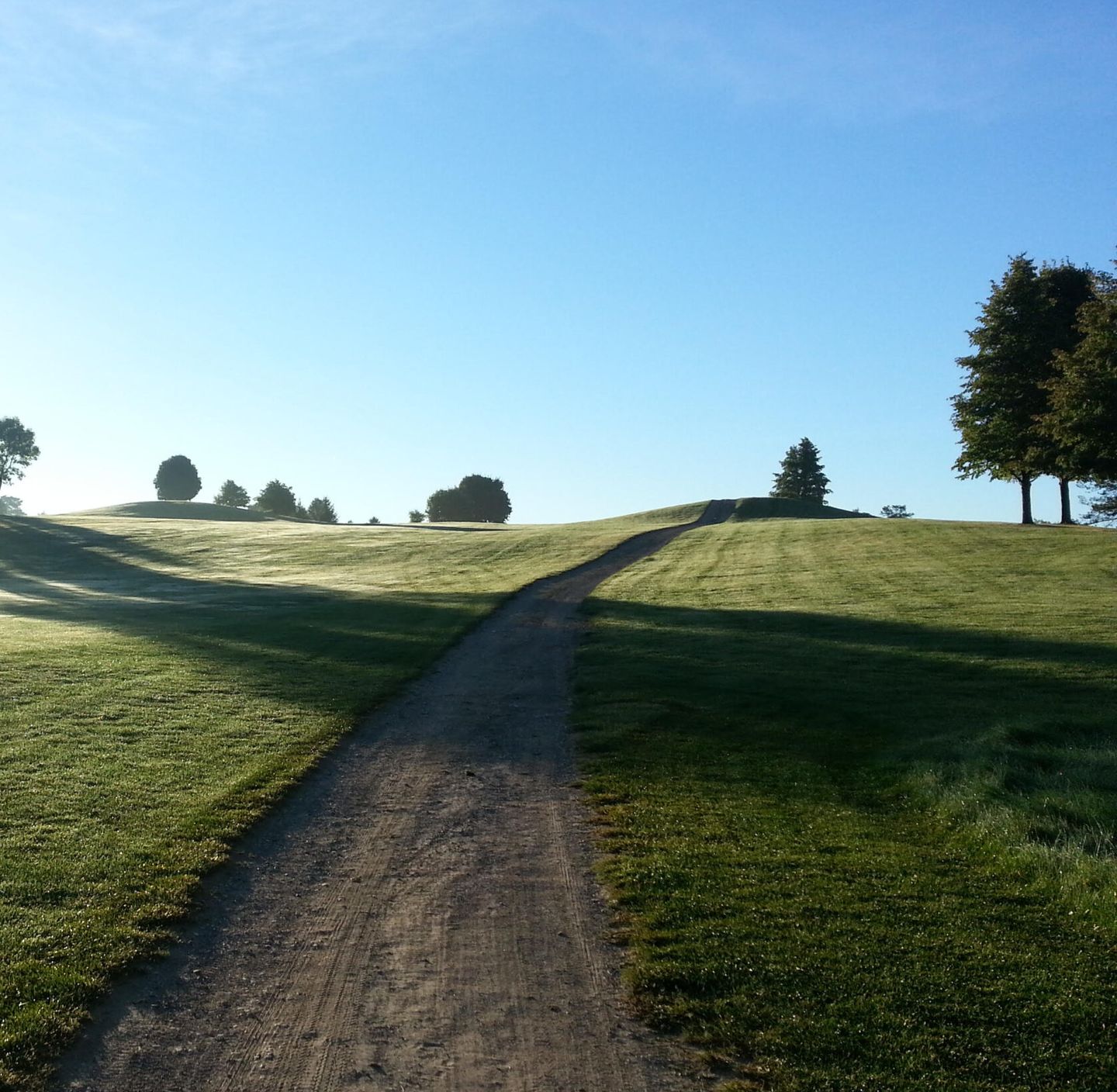 Pines Course