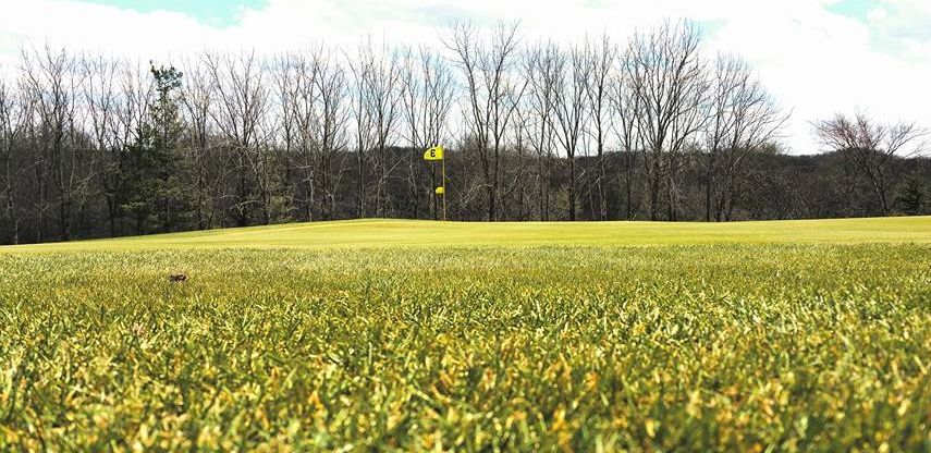 Nashua Town & Country Club