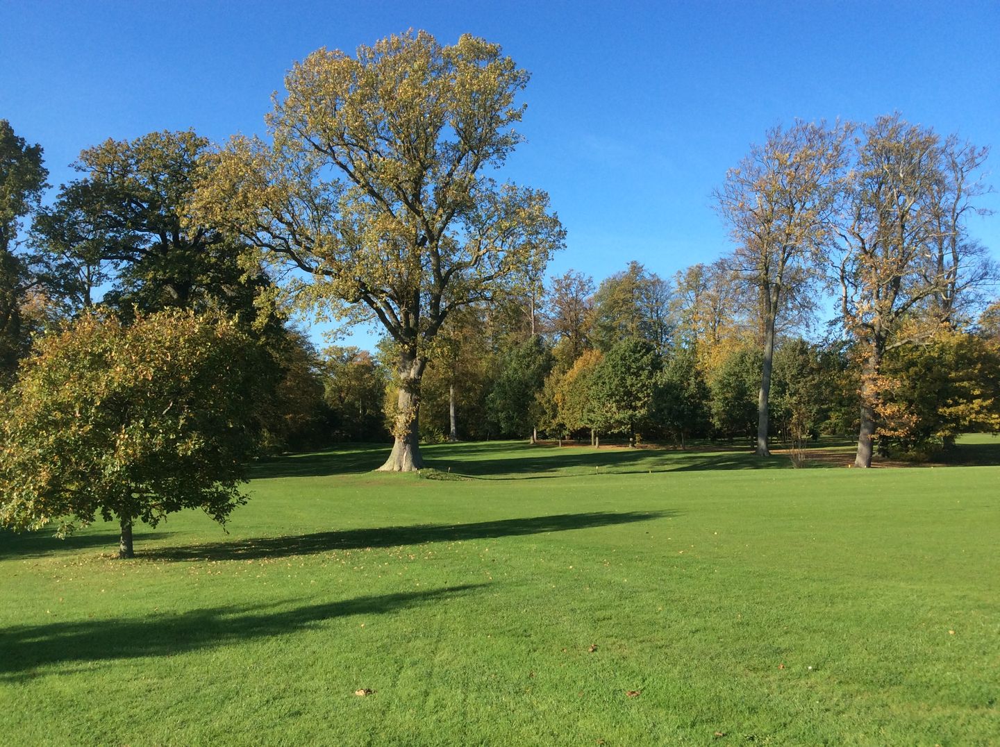 Falster Golf Club