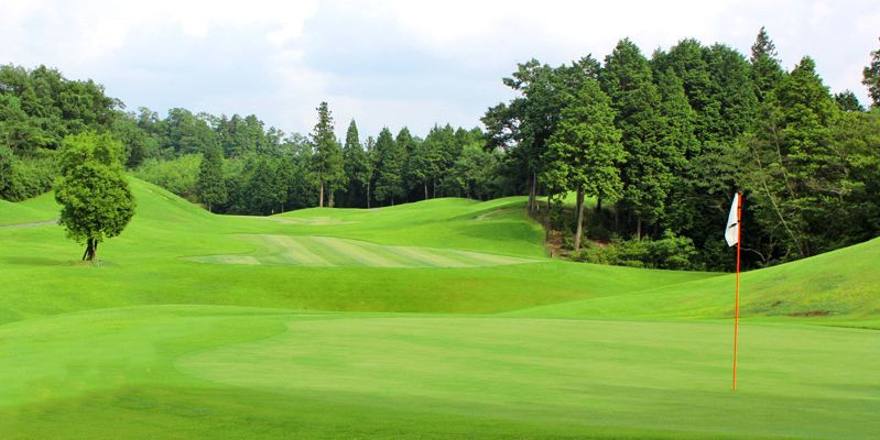 The Oaklet Golf Club