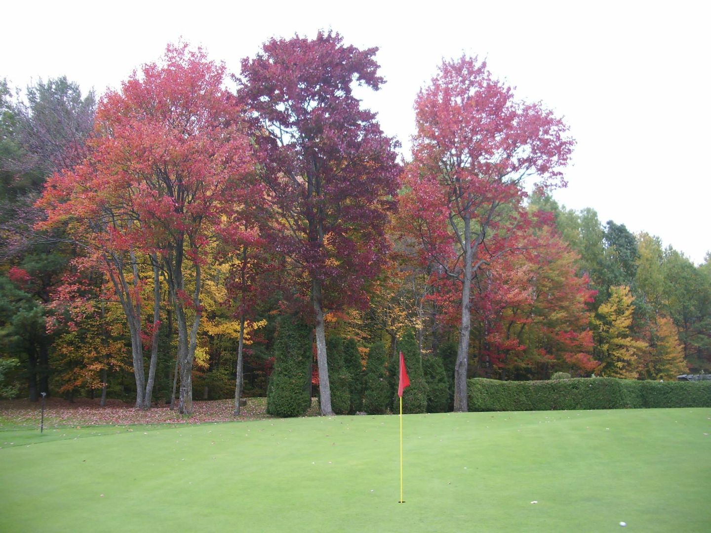 Club de Golf St-Janvier