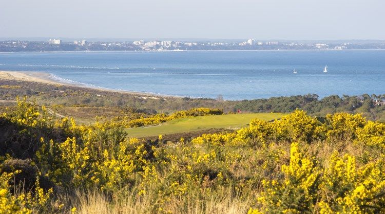 Dene Course